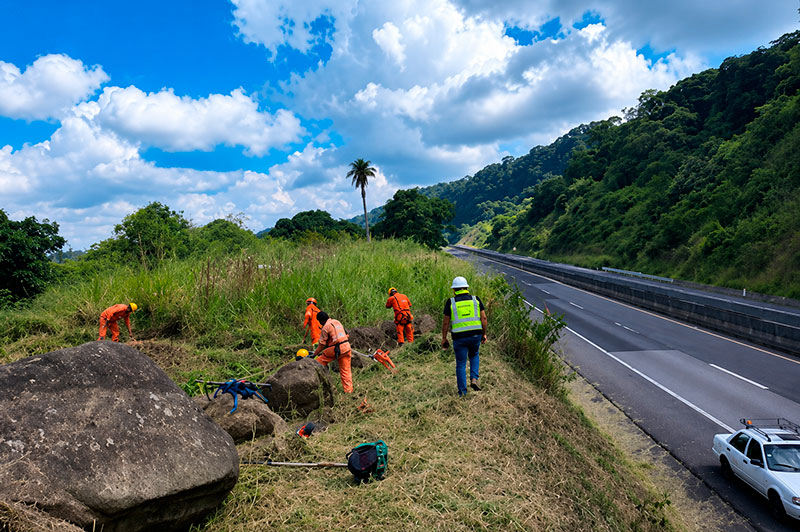 Cuadrilla realizando desmonte y limpieza en el derecho de vía de una carretera